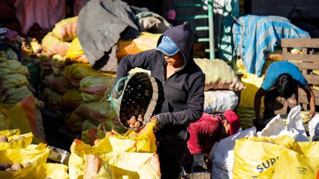 comerciante_mercado_mayorista